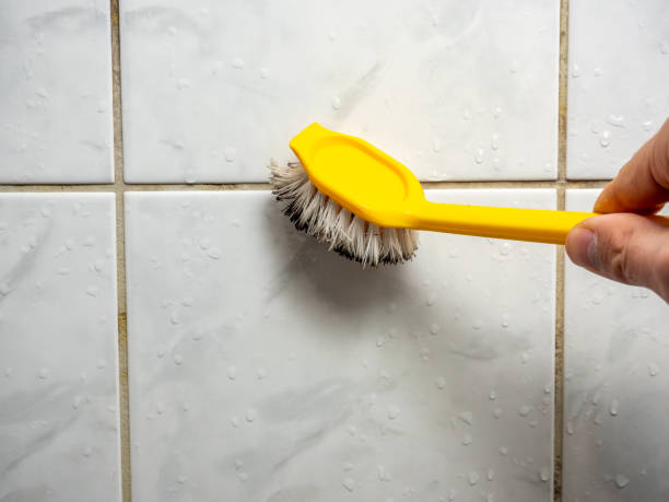 Best Insurance-Related Mold Remediation in Salem, MO